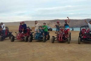 Paracas: ATV/Quad Bike o Buggy en la Reserva Nacional de Paracas