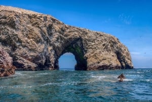 Paracas: Ballestas Islands and Candelabro Boat Tour