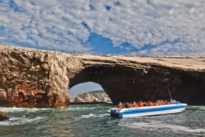 Paracas: Ballestas Islands and Candelabro Boat Tour