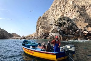 Paracas: Ballestas Islands and Candelabro Boat Tour