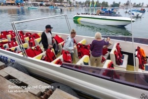 Paracas: Ballestas Islands and Candelabro Boat Tour