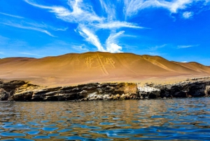Paracas: Ballestasöarna och Paracas nationalreservat