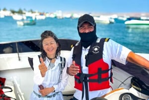 Paracas: Ballestas-saaret ja luonnonsuojelualue yhden päivän retkellä