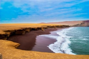 Paracas: Ballestas-saaret ja luonnonsuojelualue yhden päivän retkellä