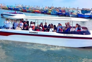 Paracas: Ballestas-øerne og Paracas Nationalreservat-tur