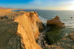 Paracas : Circuit des îles Ballestas et de la réserve nationale de Paracas