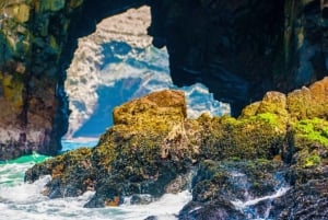 Paracas : Circuit des îles Ballestas et de la réserve nationale de Paracas