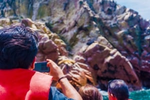 Paracas : Circuit des îles Ballestas et de la réserve nationale de Paracas