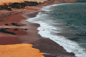 Paracas: Båttur på Ballestas-øyene - Islas Ballestas