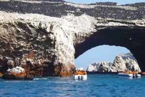 Paracas: Båttur på Ballestas-øyene - Islas Ballestas