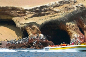 Paracas: Båttur på Ballestas-øyene - Islas Ballestas