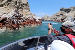Paracas: Båttur på Ballestas-øyene - Islas Ballestas
