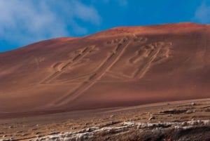 パラカス：バレスタス諸島ボートツアー＆ミニバギー乗車をお楽しみください
