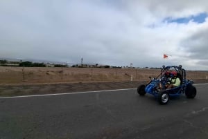 パラカス：バレスタス諸島ボートツアー＆ミニバギー乗車をお楽しみください