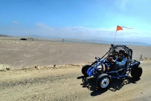 パラカス：バレスタス諸島ボートツアー＆ミニバギー乗車をお楽しみください