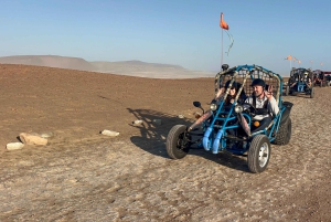 パラカス：バレスタス諸島ボートツアー＆ミニバギー乗車をお楽しみください
