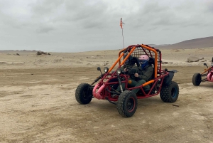 パラカス：バレスタス諸島ボートツアー＆ミニバギー乗車をお楽しみください
