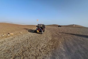 パラカス：バレスタス諸島ボートツアー＆ミニバギー乗車をお楽しみください