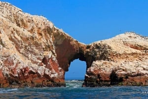 Paracas: Ballestas Islands Boat Tour with Guide