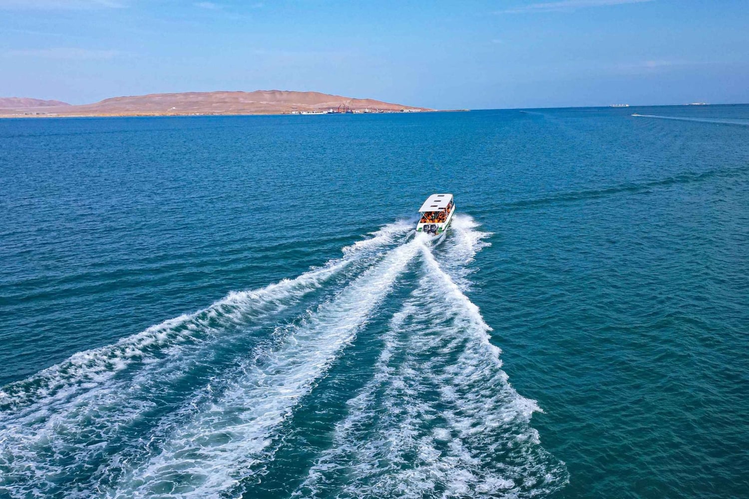 Paracas: Ballestas Islands Guided Boat Tour