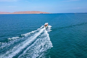 Paracas: Ballestas Islands Guided Boat Tour