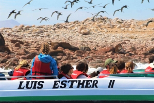 Paracas: Ballestas Islands Guided Boat Tour