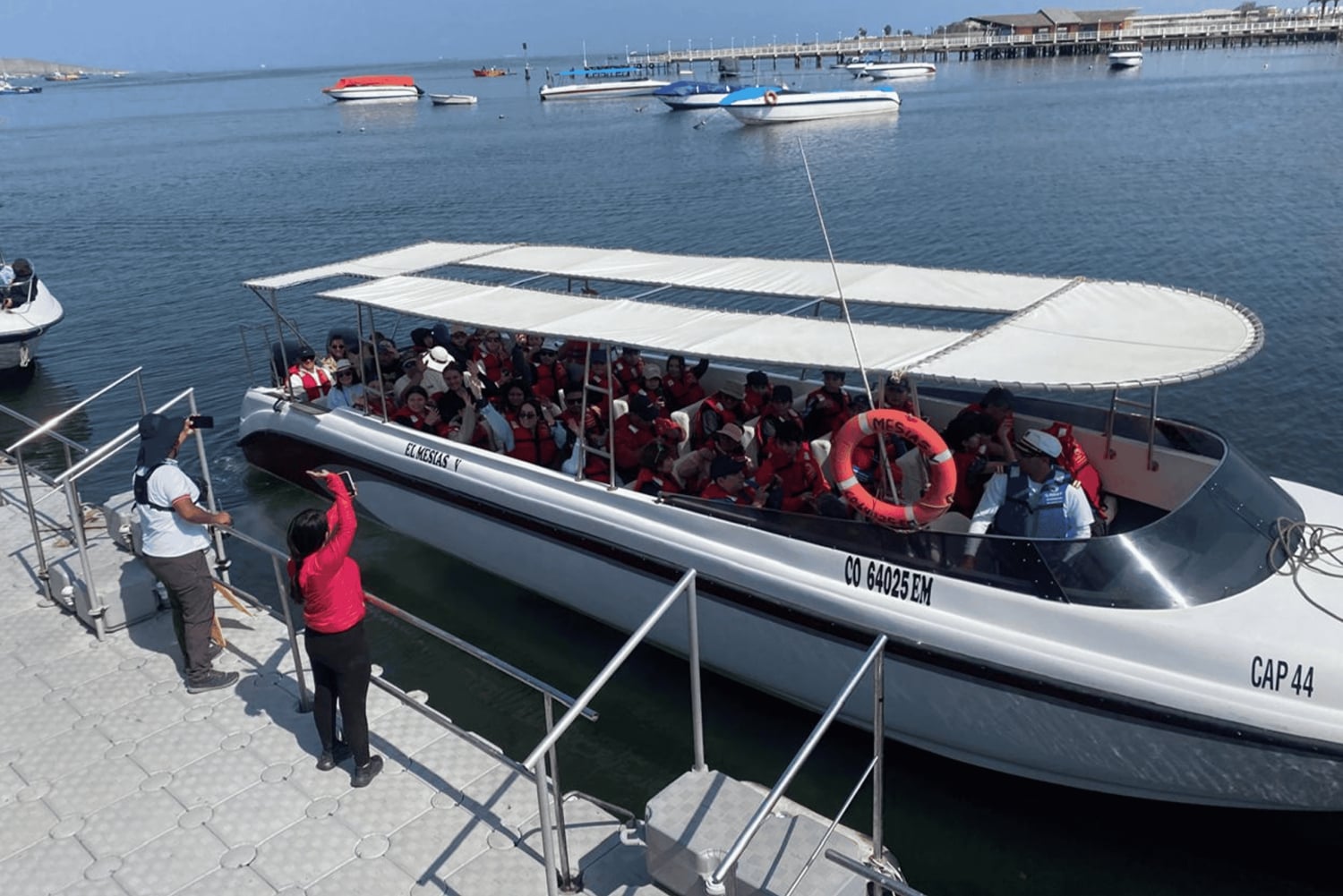 Paracas: Ballestas Islands Morning Boat Tour