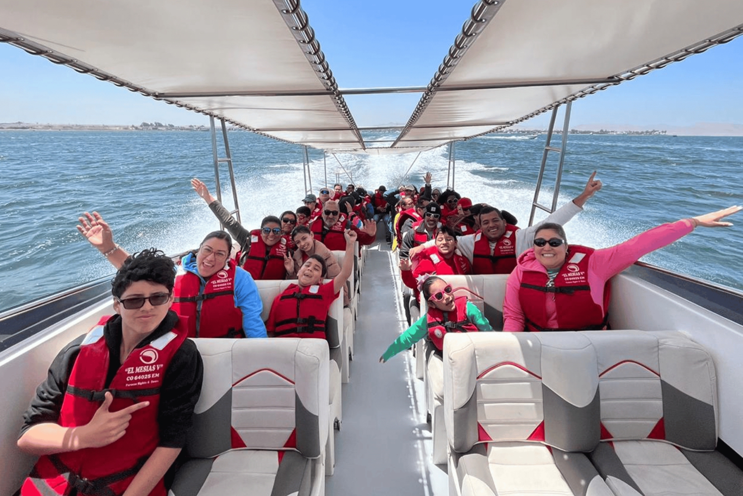 Paracas: Ballestas Islands Morning Boat Tour