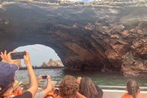 Paracas: Ballestas Islands Morning Boat Tour