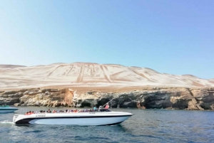 Paracas: Ballestas Islands Morning Boat Tour