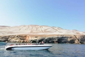 Paracas: Djurlivet vid Islas Ballestas – båttur på morgonen