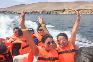 Paracas: Morgendliche Bootstour zu den Islas Ballestas