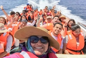 Paracas: Djurlivet vid Islas Ballestas – båttur på morgonen