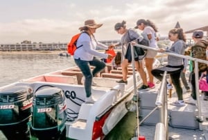 Paracas: Poranny rejs statkiem po wyspach Ballestas