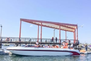 Paracas: Passeio de Barco pelas Ilhas Ballestas de Manhã
