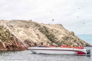 Paracas: ochtendtour per boot naar de Ballestaseilanden