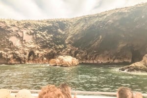 Paracas: Morgendliche Bootstour zu den Islas Ballestas