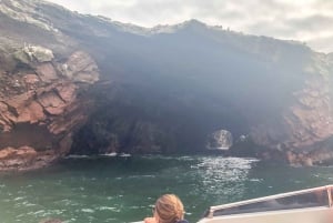 Paracas: tour matutino en barco a las islas Ballestas