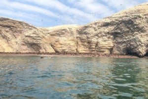 Paracas: ochtendtour per boot naar de Ballestaseilanden