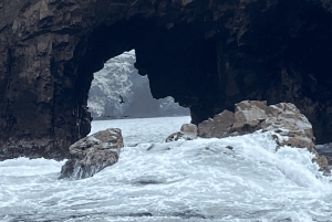 Paracas: Ballestas Islands Morning Boat Tour