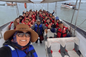 Paracas: Ballestas Islands Morning Boat Tour