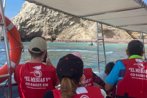 Paracas: Ballestas Islands Morning Boat Tour