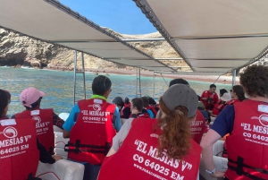 Paracas: Ballestas Islands Morning Boat Tour