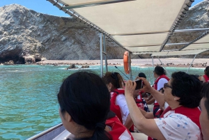 Paracas: Ballestas Islands Morning Boat Tour