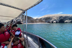 Paracas: Ballestas Islands Morning Boat Tour