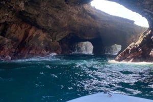 Paracas: Ballestas Islands Morning Boat Tour