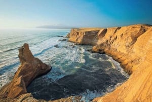 Paracas: Äventyrskombination med guidad tur till Ballestasöarna + scooteruthyrning