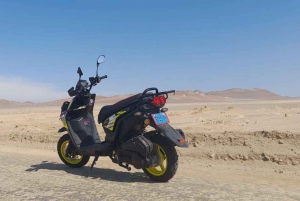 Paracas: Äventyrskombination med guidad tur till Ballestasöarna + scooteruthyrning