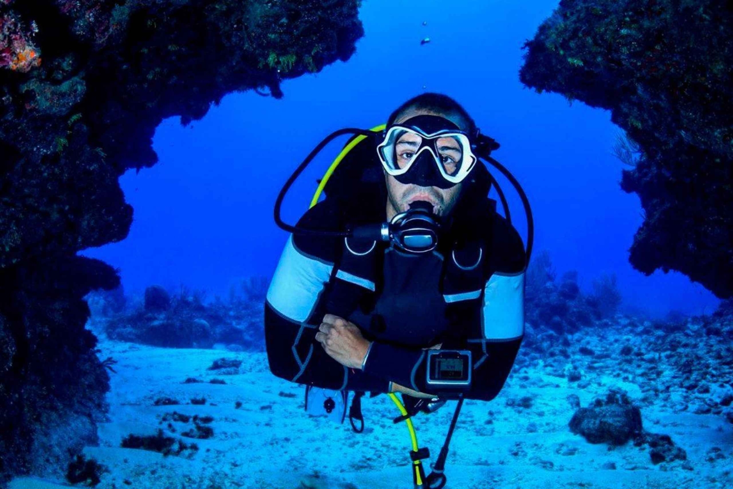 Paracas: Diving - Dive into the sea