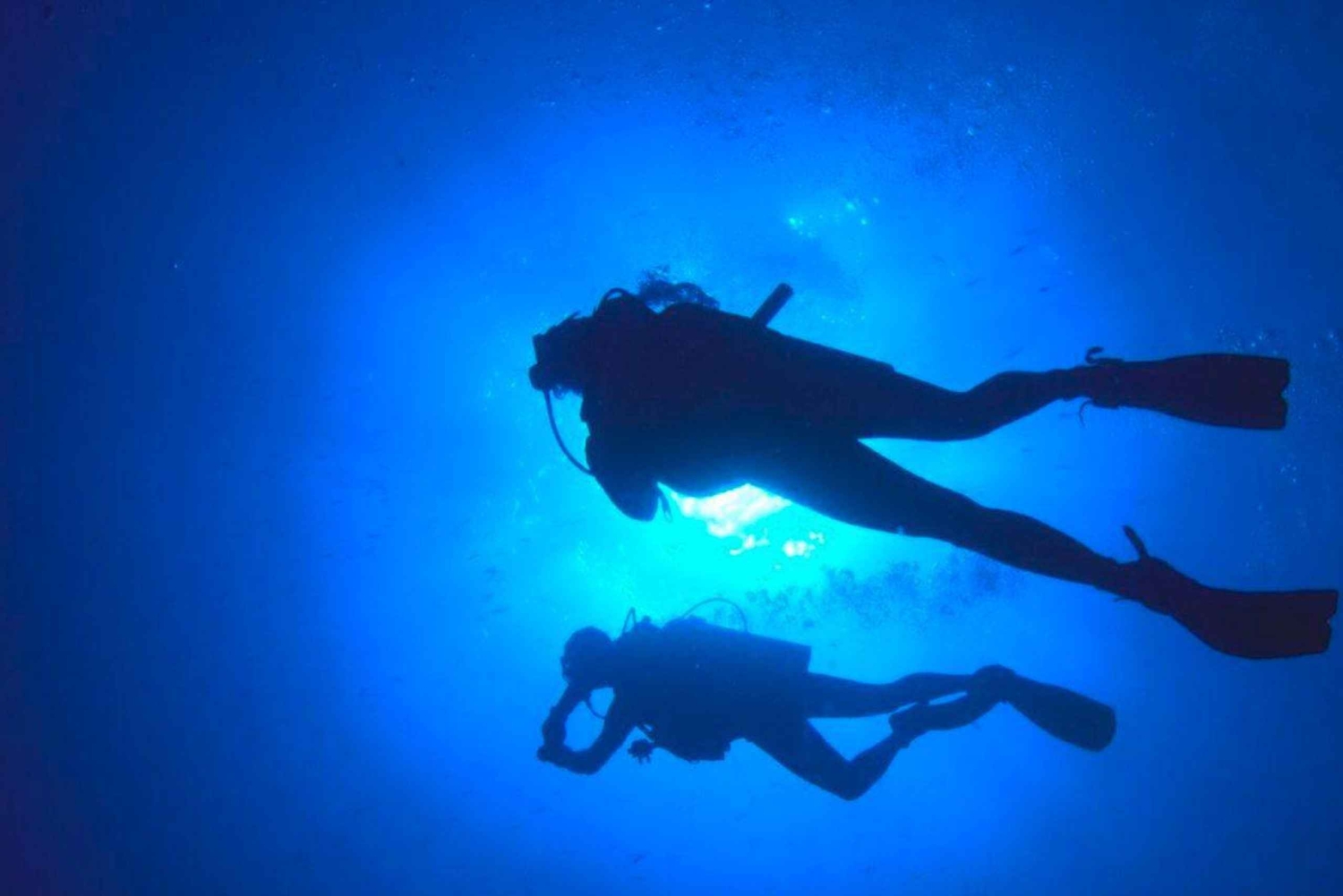 Paracas: Diving - Dive into the sea